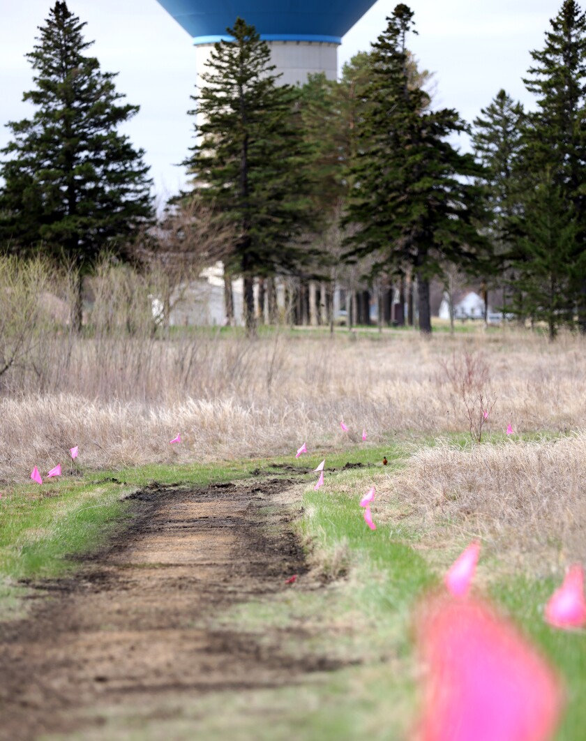 A walking trail in the Worthington Wetlands Learning Area and Waterfowl Production Area is marked for an improved trail that will include crushed concrete and asphalt that will be compacted to build a new path.