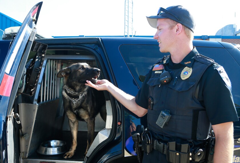 East Grand Forks' police officer Tyler Hajicek and his K-9 partner, Leroy, are the first K9 unit in East Grand Forks since the early 2000's. Photo by Eric Hylden/Grand Forks Herald