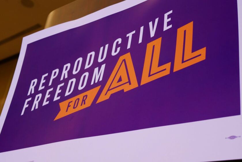 US-NEWS-MICHIGAN-ABORTION-RIGHTS-ADVOCATES-STRUCK-1-MLI.jpg
