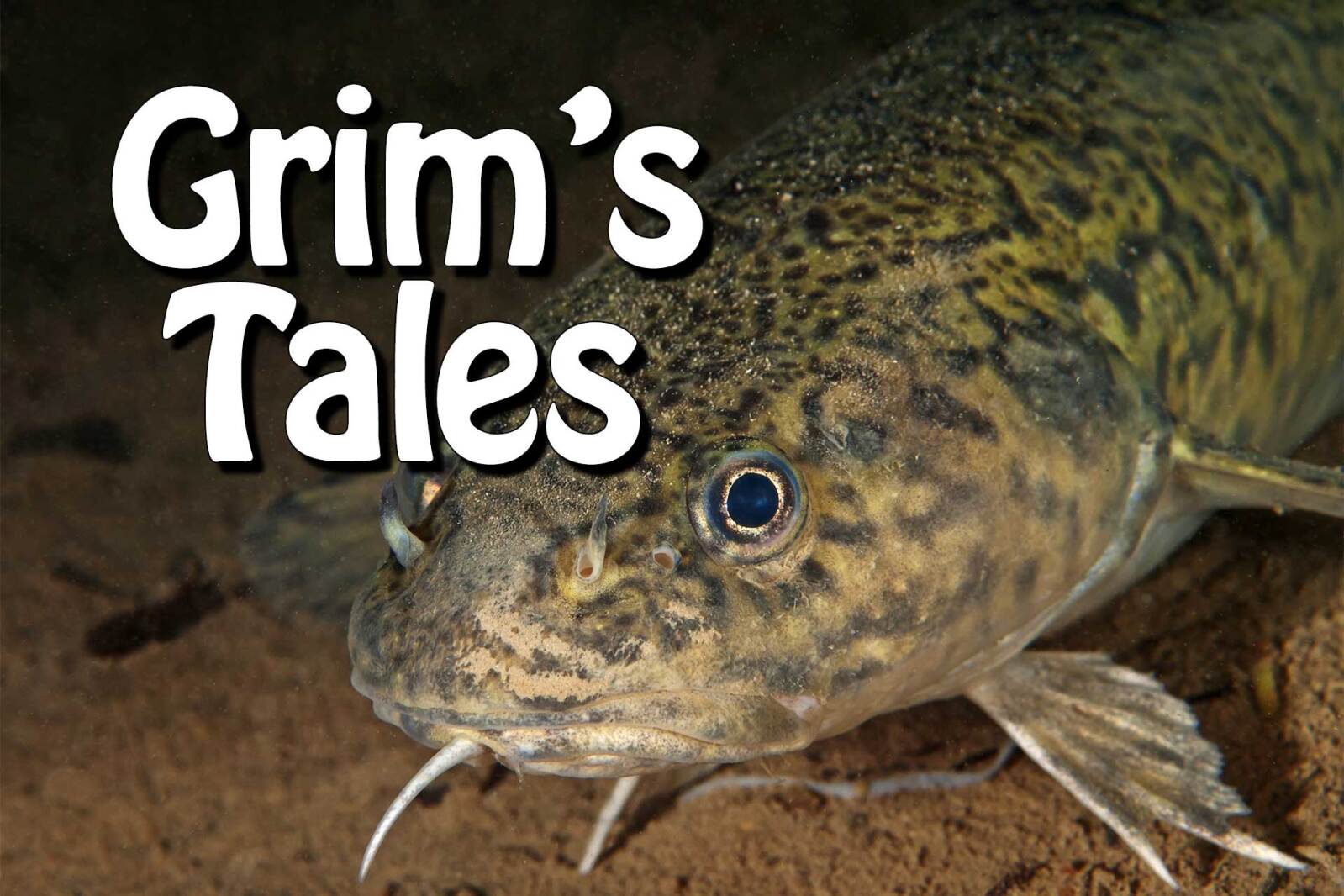 Grim's Tales Let's talk ugly fish Pine and Lakes Echo Journal