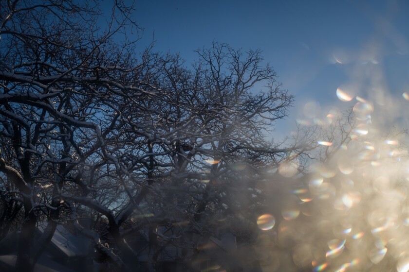 Frost