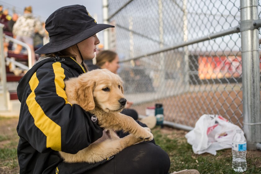 Pine Island, Byron softball