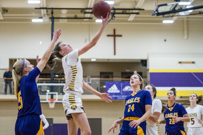 Lourdes, Stewartville girls basketball