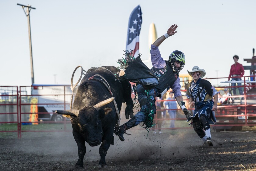 Olmsted County Fair