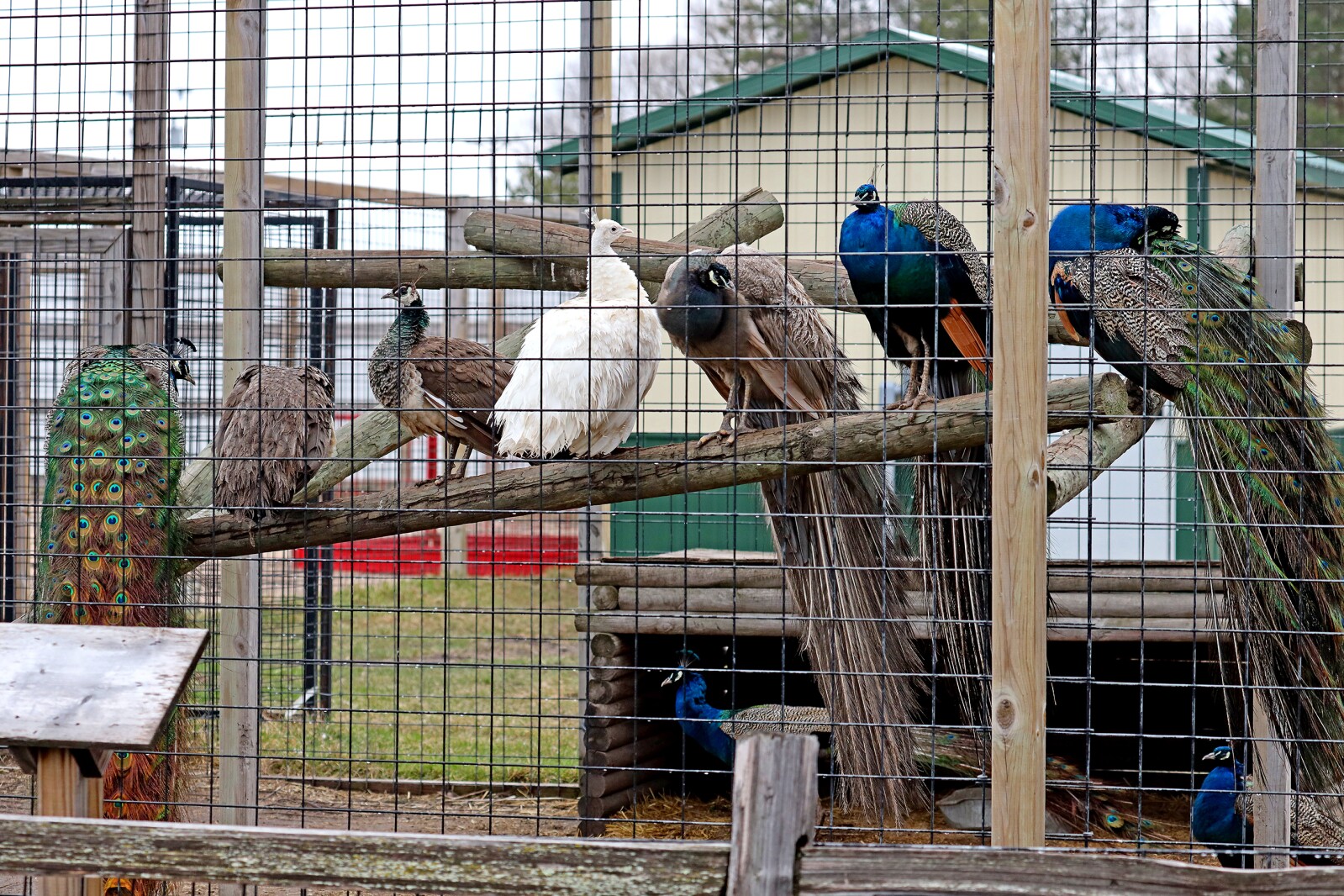 Safari North Wildlife Park April 28, 2022.