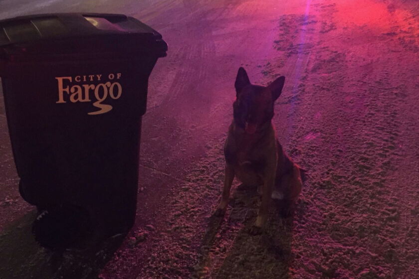 Fargo Rabbit Dog Fargo police dog finds suspect in trash can - InForum | Fargo, Moorhead ...