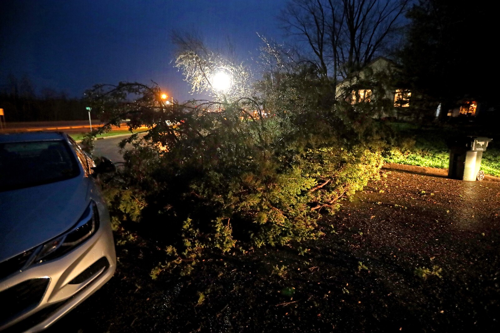 A tree blocks the road in northeast Brainerd.