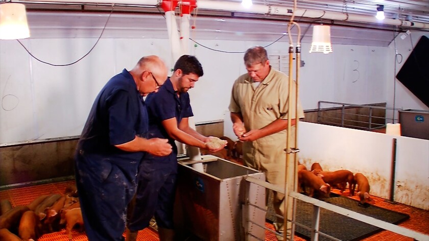 011022.AG.CompartPork07.jpg