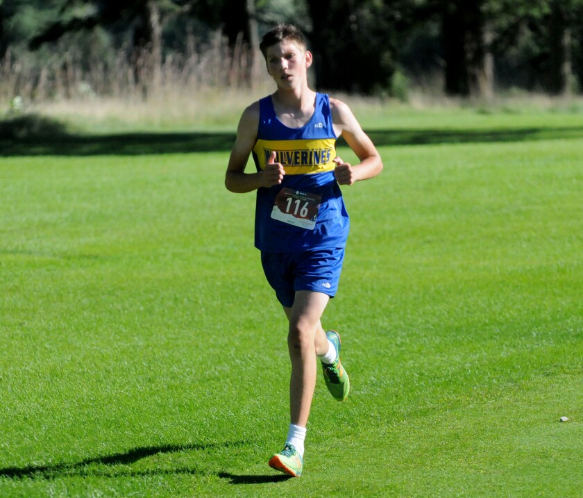 WDCBXC2.jpg