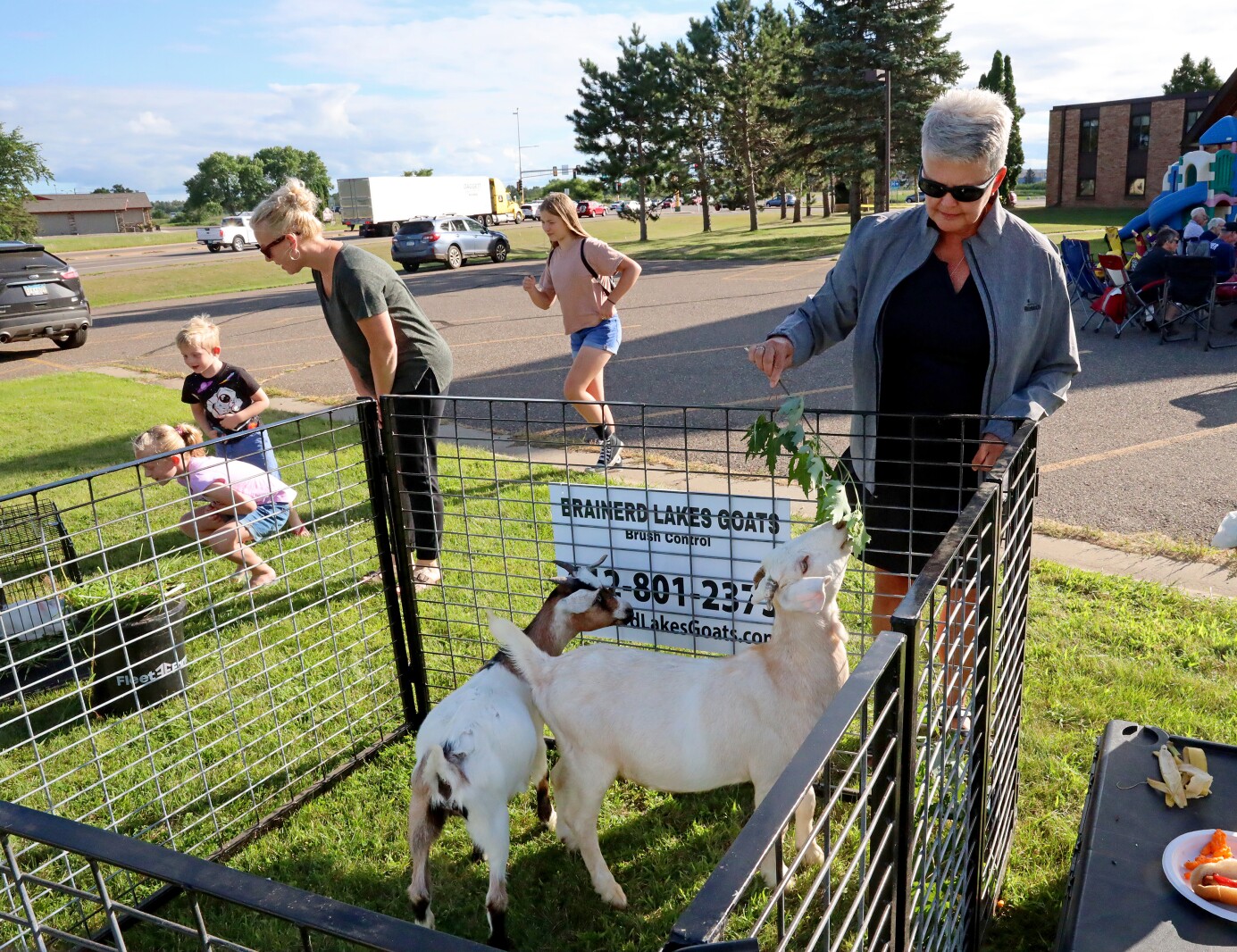 Goats at Bethlehem Evangelical Lutheran Church