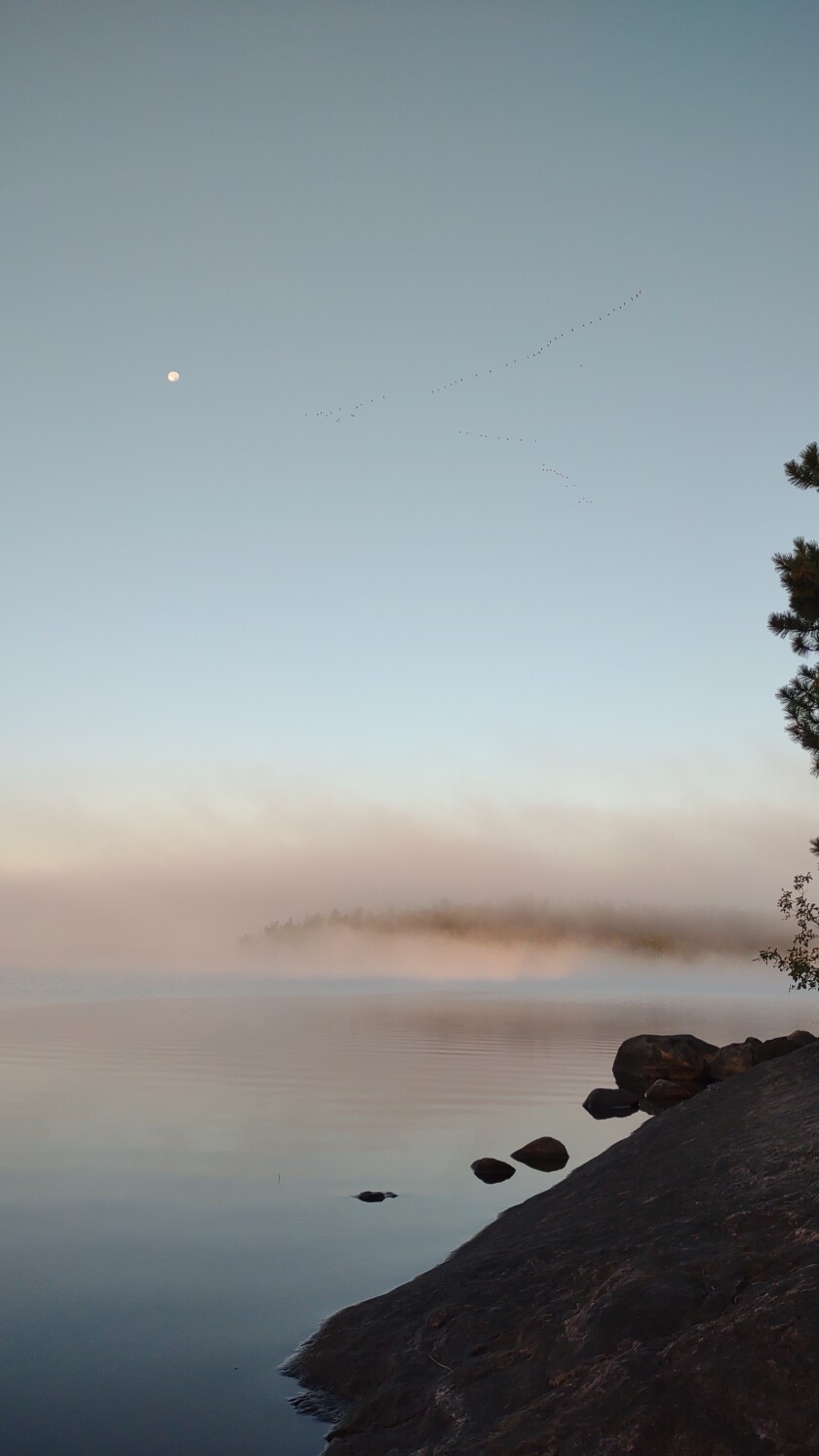 9-23-2022 moon and geese at dawn.jpg
