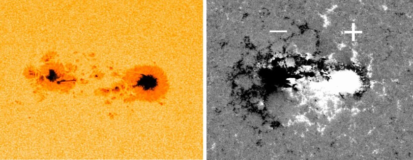 Sun sunspot 2936 panel.jpg