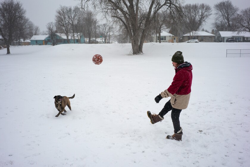 Snow in Rochester