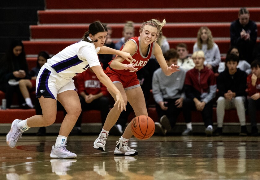 Basketball roundup: Willmar Cardinals fall to New Ulm Eagles - West ...