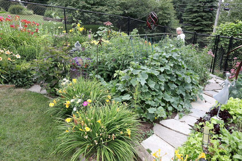 Sister Mary Jo Sobieck looks over one corner of Greg and Judy Bonovetz’ garden
