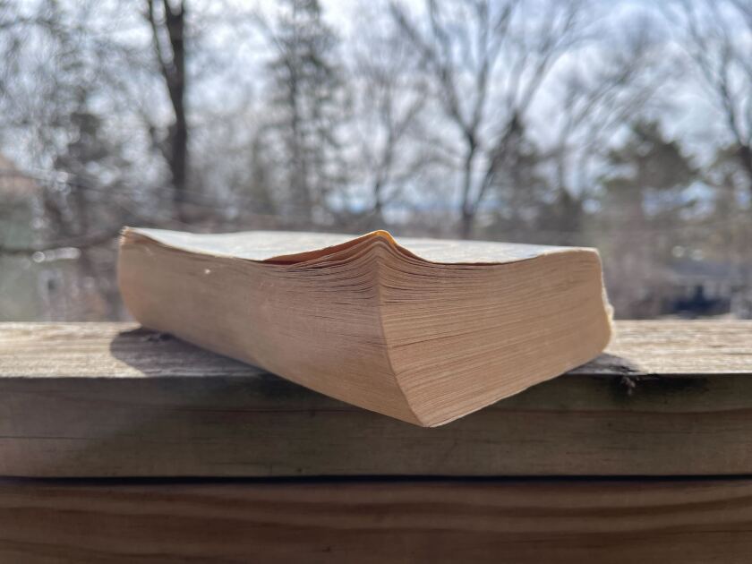 Image of a thick mass market paperback book sitting on a wooden railing with out-of-focus trees in the background