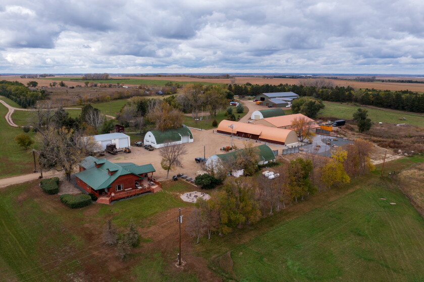 North Dakota's Black Leg Ranch boosts business with black Angus, bison ...