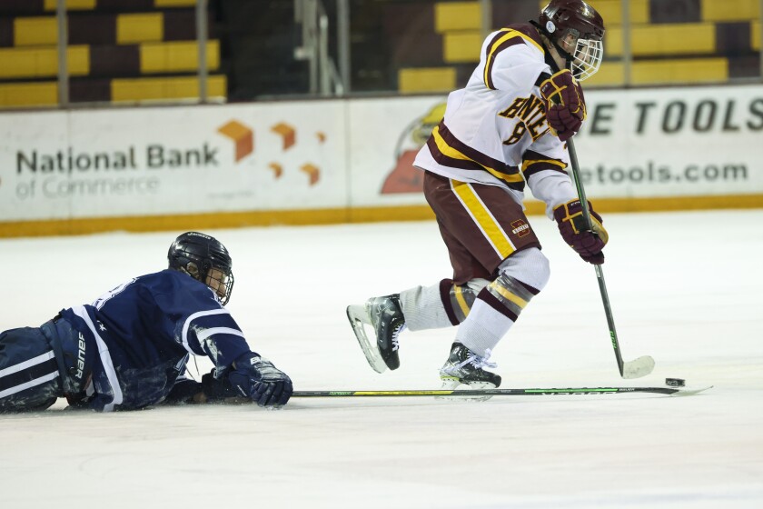 Denfeld delivers a shutout against Hibbing to advance to Section 7A championship game