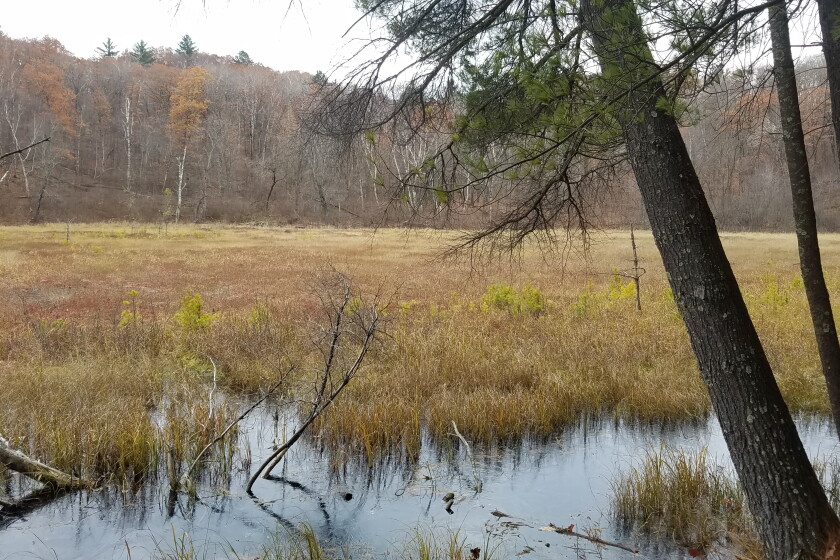 Camp Ripley wins top environmental award - Brainerd Dispatch | News ...