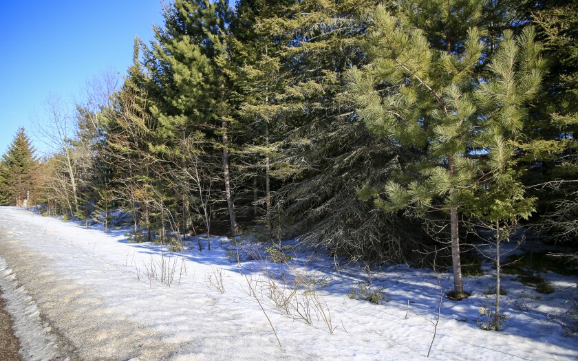 030921.N.DNT.COLDCASE.C01.jpg
