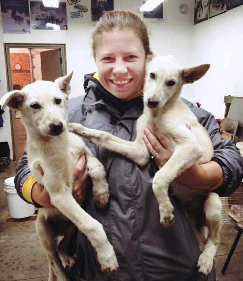 Robin Beall Daughter of longtime musher to compete in her first Beargrease race ...