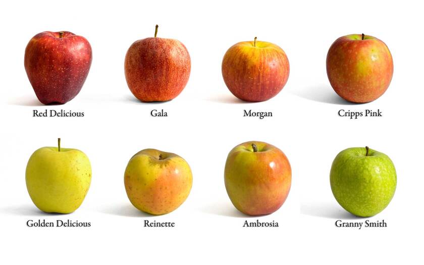 101221-apple-varieties-shutterstock.jpg