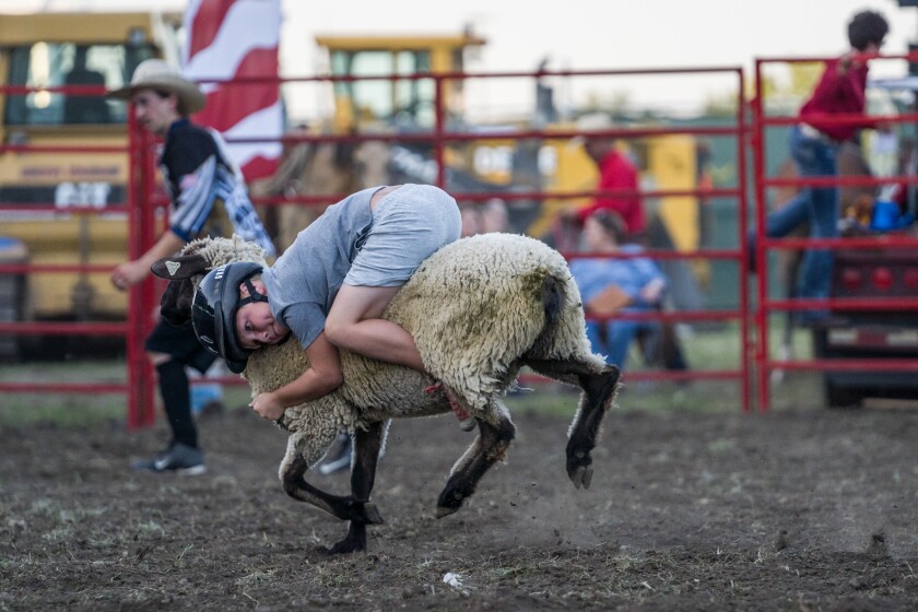 Olmsted County Fair