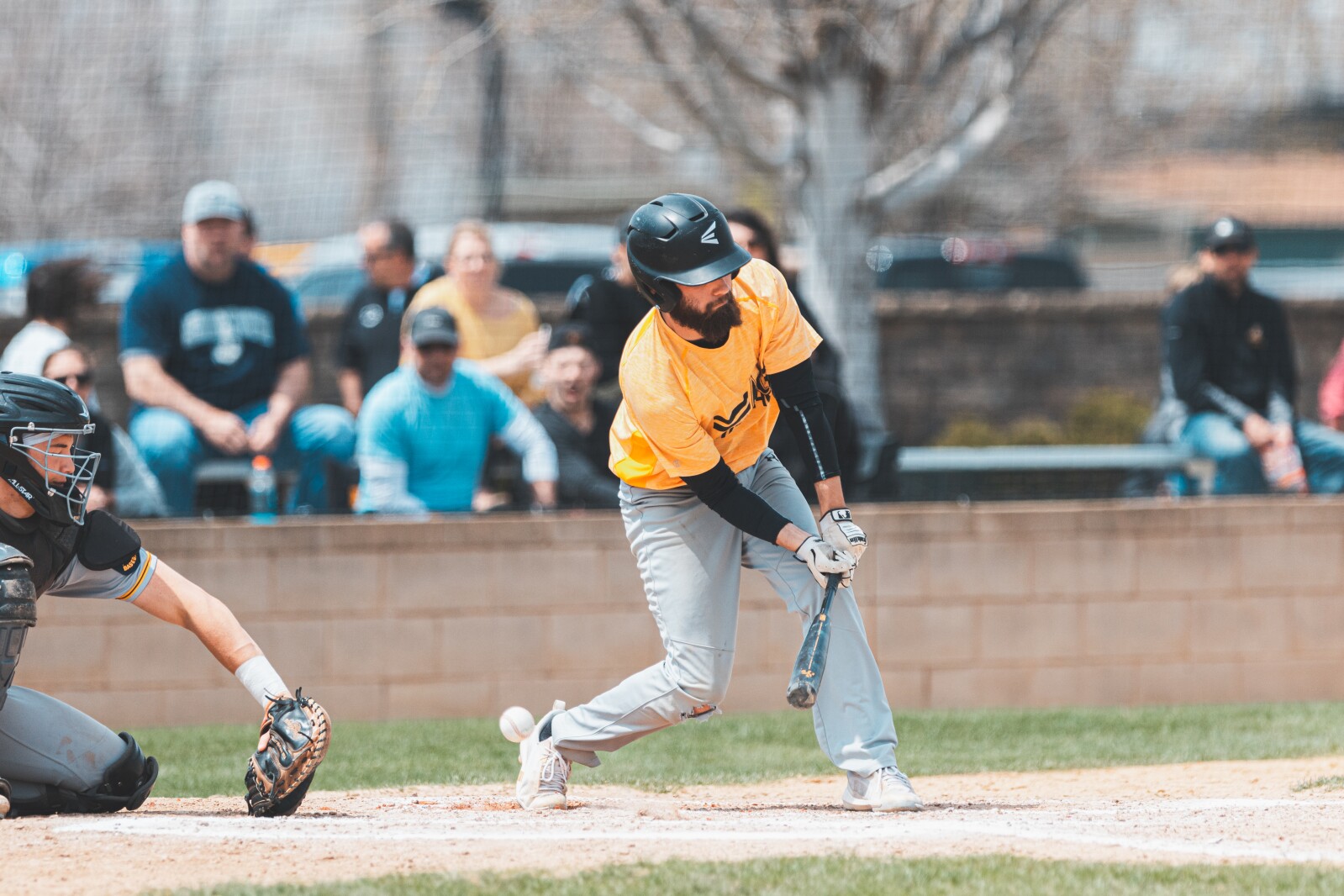 Kernels-Harrisburg-10.jpg