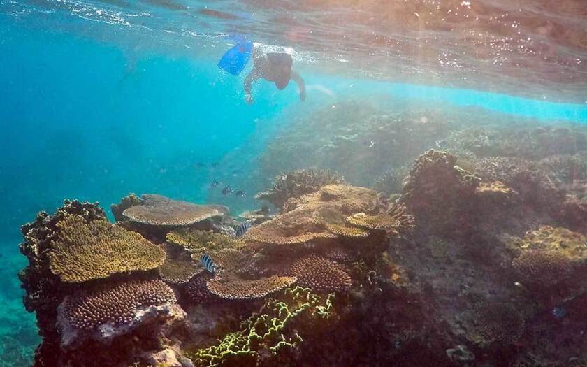2997306+1129_AUSTRALIA-CORAL-REEF-2.jpg