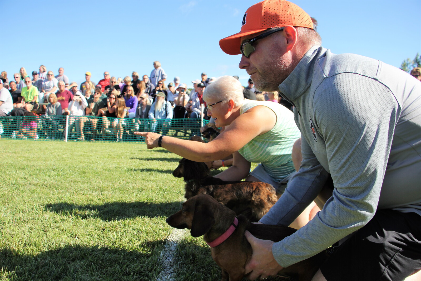 Dog Fun Races Vergas Wiener Dog Races see largest crowd as 56 dogs participate ...