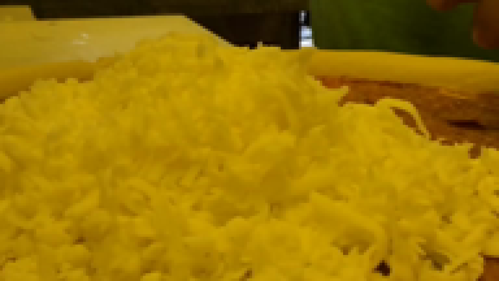 Nobles County Fair The Globe News Weather Sports From Worthington nobles-county-fair-the-globe-news-weather-sports-from-worthington