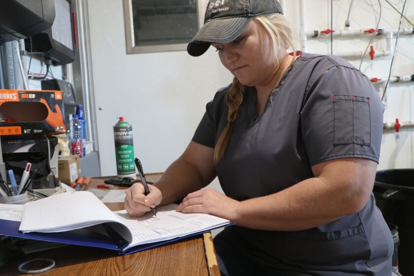 A young woman fills in data and notes from caring for weanling-to-finish pigs she manages for an Iowa company that owns them.