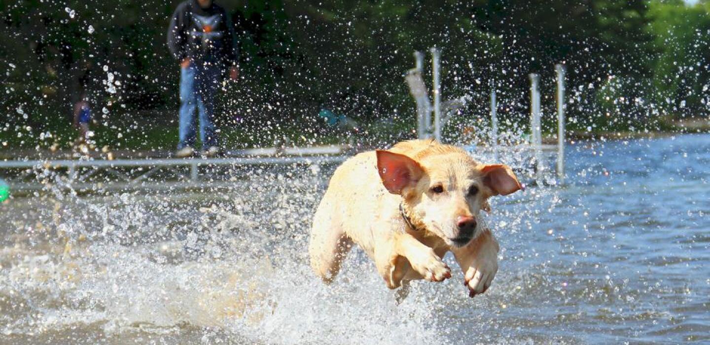 41st annual Game Fair set near Anoka Flipboard