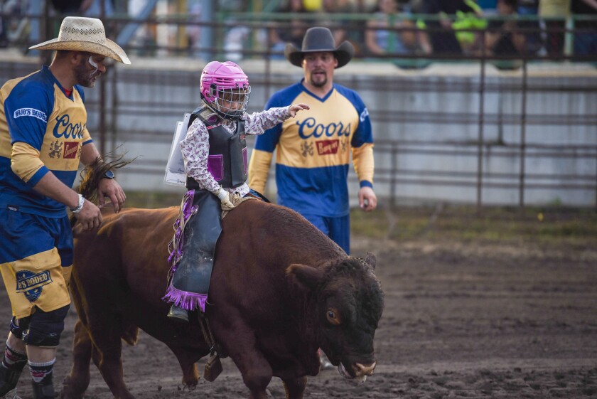 Photos: Fans, riders brave slight rain during Wojo's Rodeo at Beltrami ...