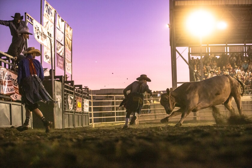 Triple B bullfighter