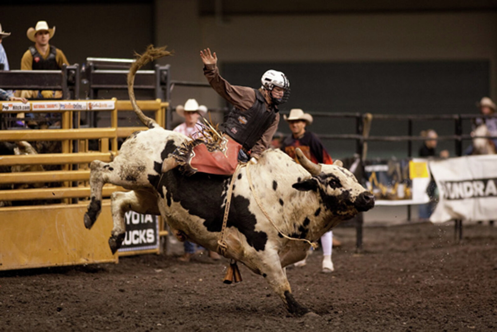 Bull Rider Crete Bull riders: They know the dangers, but love the sport anyway - Grand ...