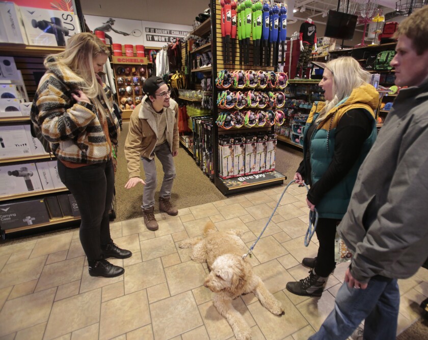 121419.B.FF.DOGFRIENDLY.04.jpg