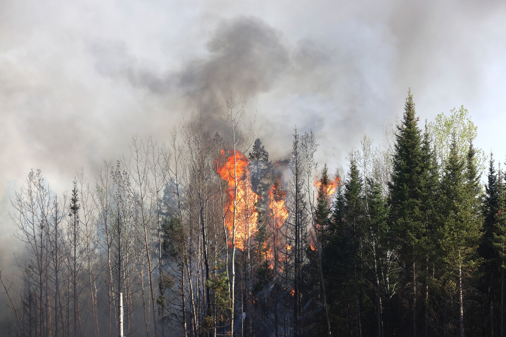 Crews from across US arrive to fight St. Louis County wildfires ...