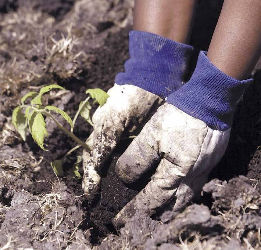 Building a garden