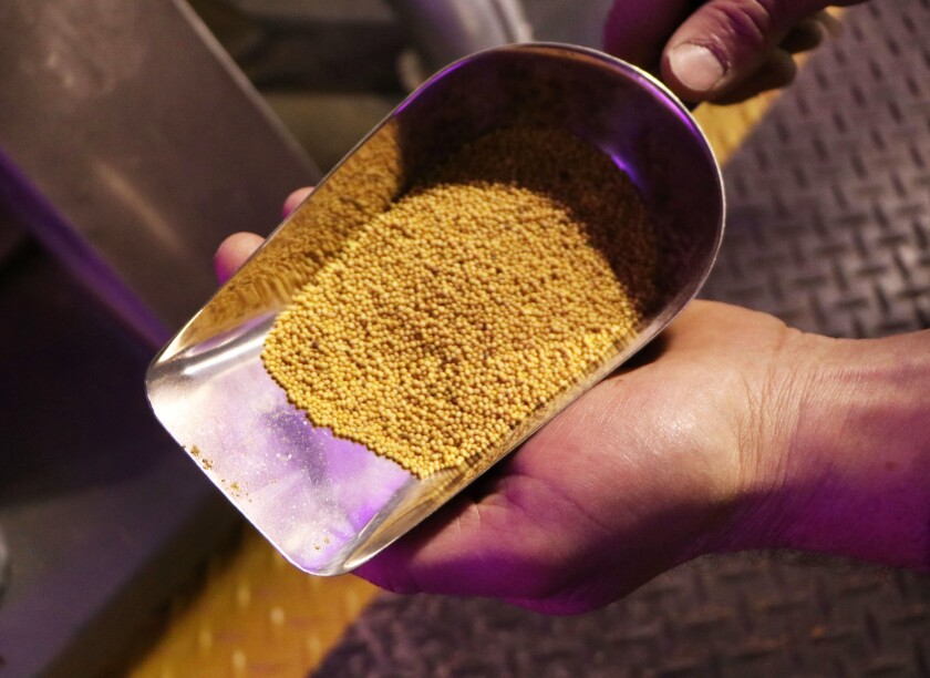 050321.AG.Minn-Dak Growers Specialty Crops09.jpg