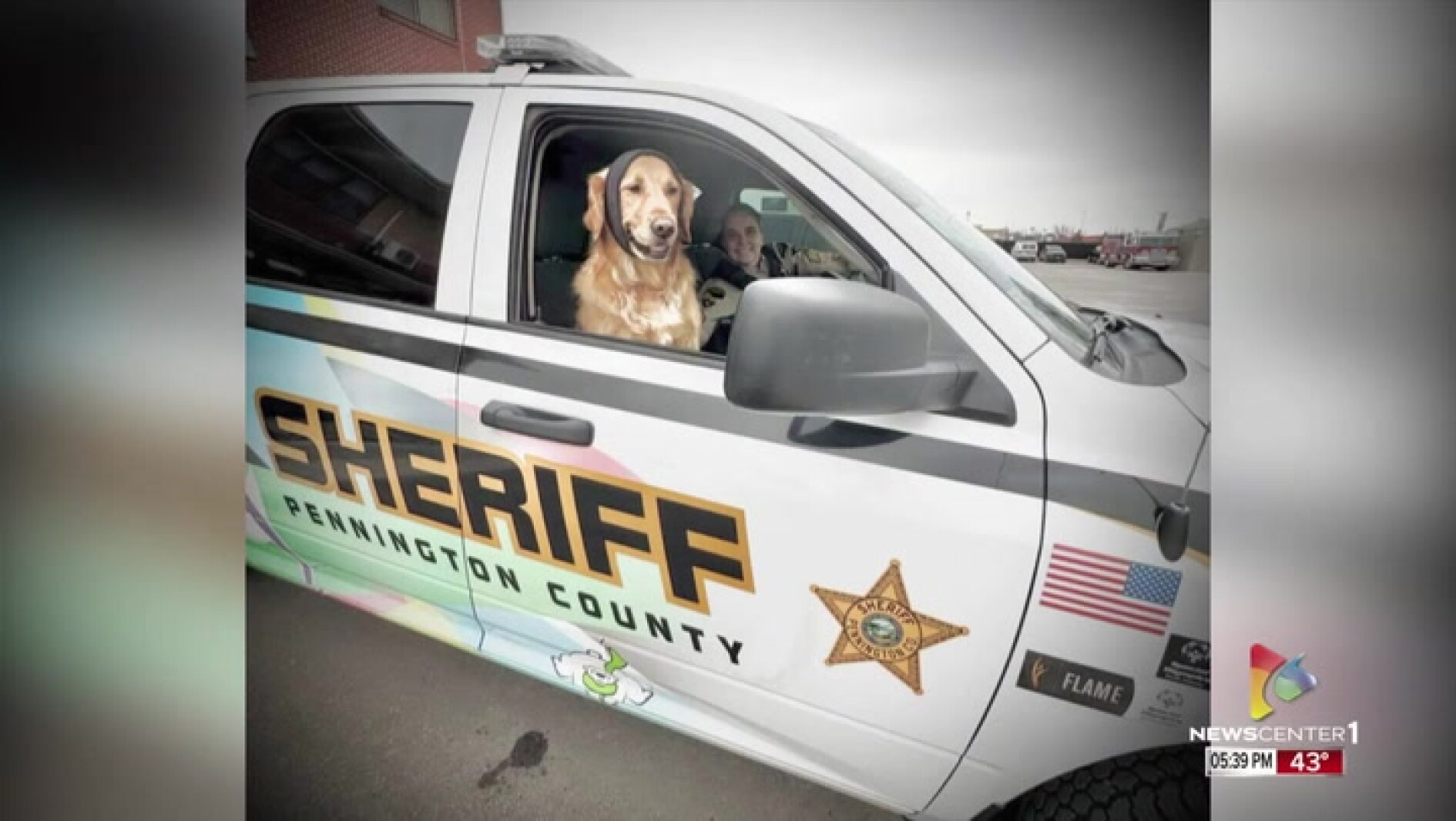 Fire dog Dexter helping out with fundraising for the Special Olympics event