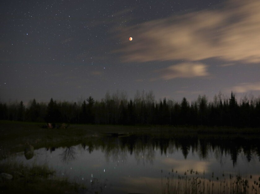 Total eclipse and pond