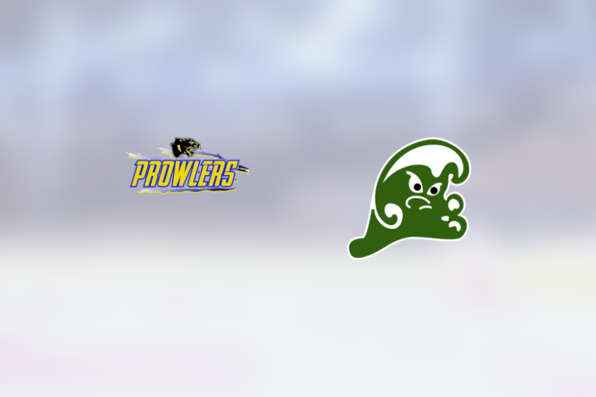img_500214086_rinklive.png