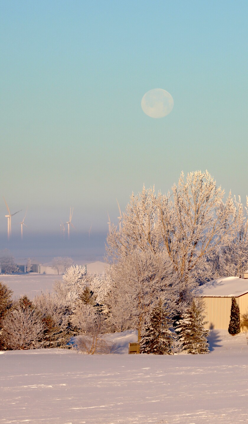 Rime ice forms frost on an acreage shelter belt west of Worthington with the faint view of wind turbines poking out of the fog. This photo was taken from Monroe Avenue as the moon set on a Saturday morning earlier this month.