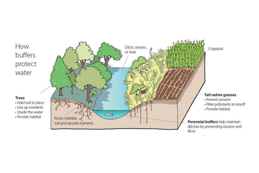 Run Off Farm Agricultural Runoff Diagram