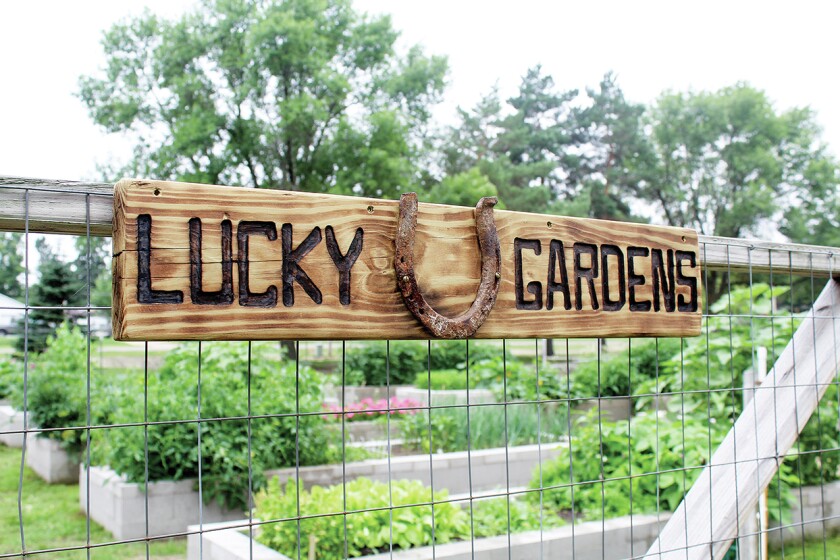 2704170+lucky gardens.jpg