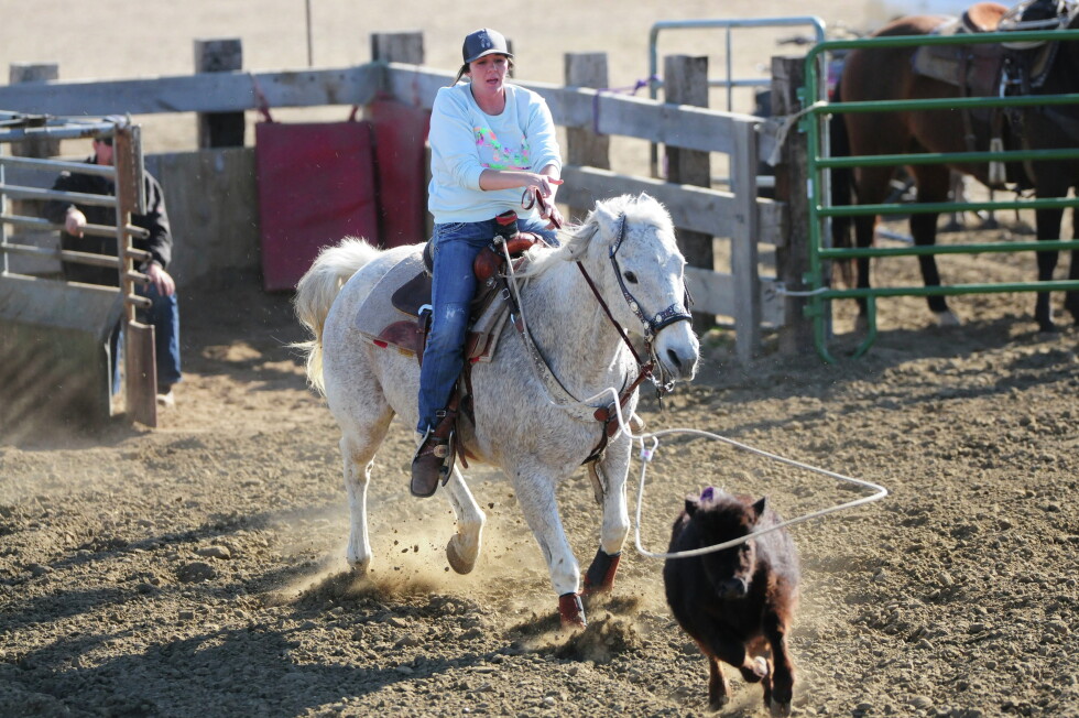 Killdeer Cowboys ride into school year with a new building - The ...