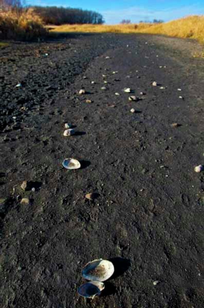 Minnesota Shells Common Water woes continue - The Globe | News, weather, sports from ...
