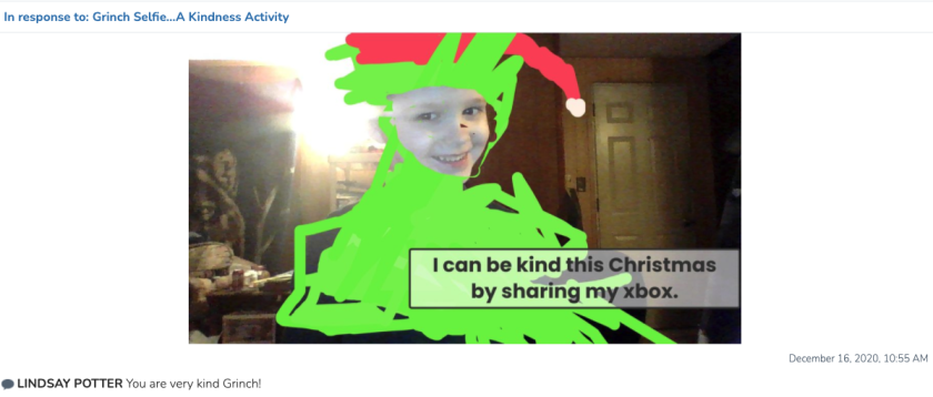 Screen Shot 2020-12-17 at 2.45.47 PM.png