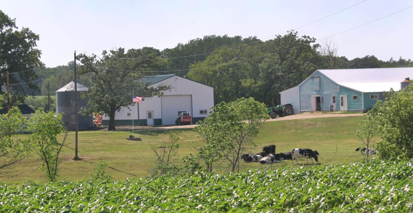 062920.AG.FlagsonFarms03.jpg
